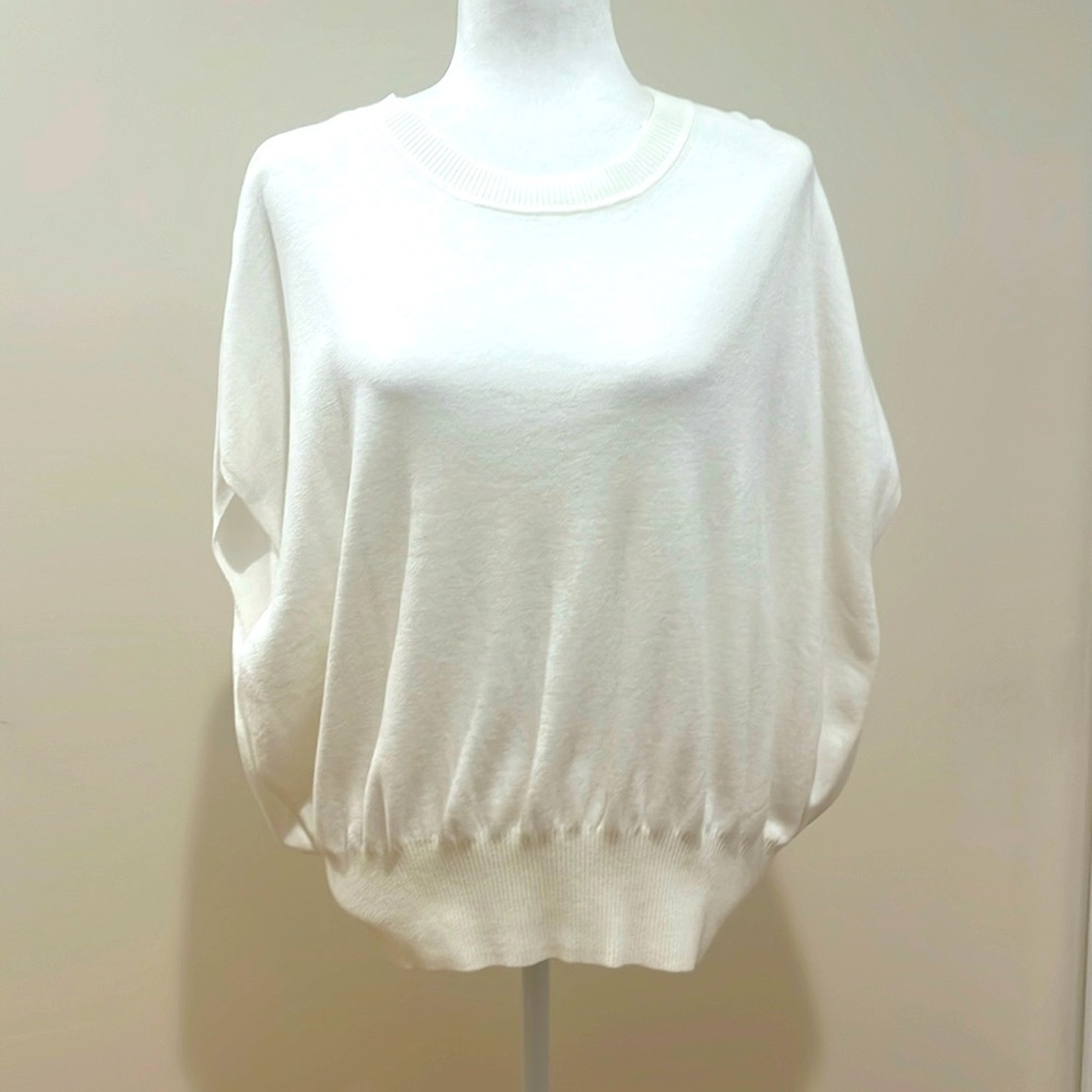 Banana Republic Splash Wedge Sweater (sustainable fabric)